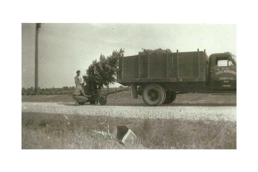 Tree Delivery 1953